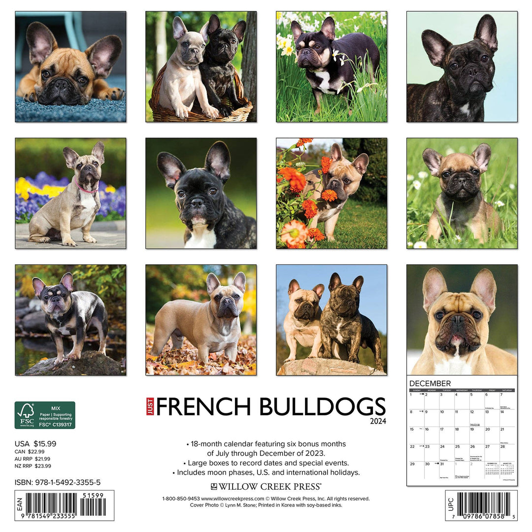 Just French Bulldogs 2024 Wall Calendar