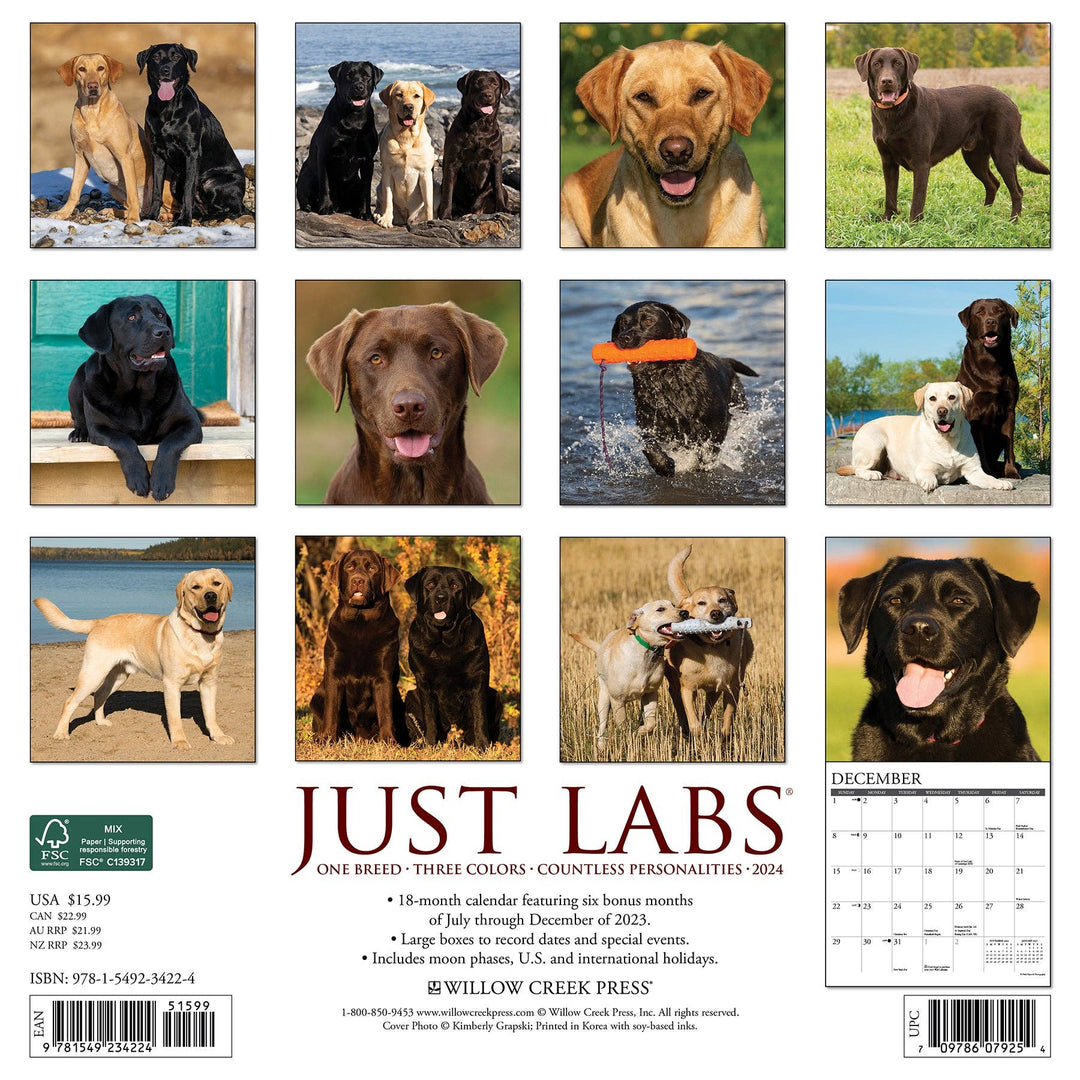 Just Labs 2024 Wall Calendar