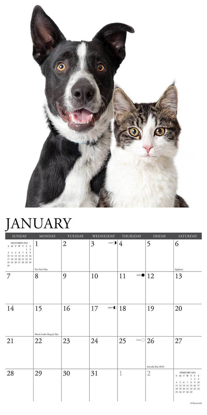 Cats & Dogs 2024 Wall Calendar