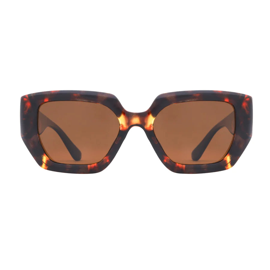 Ryan Simkhai Eyeshop - Brooke Sunglasses - Tortoise