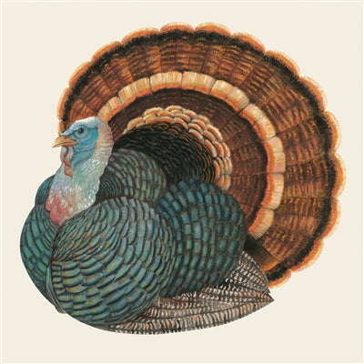 Hester & Cook - Heritage Turkey Paper Napkins