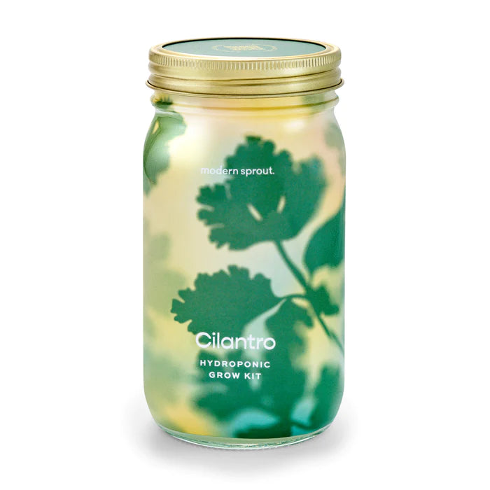 Modern Sprout - Organic Herbs Gardening Jars