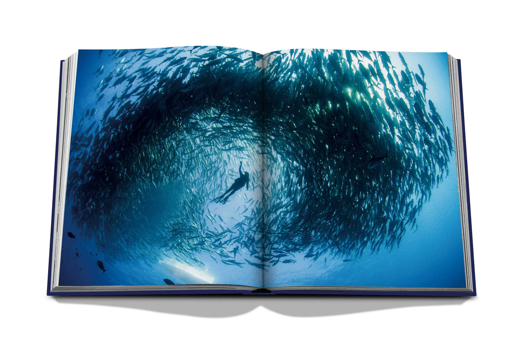 Assouline - Ocean Wanderlust