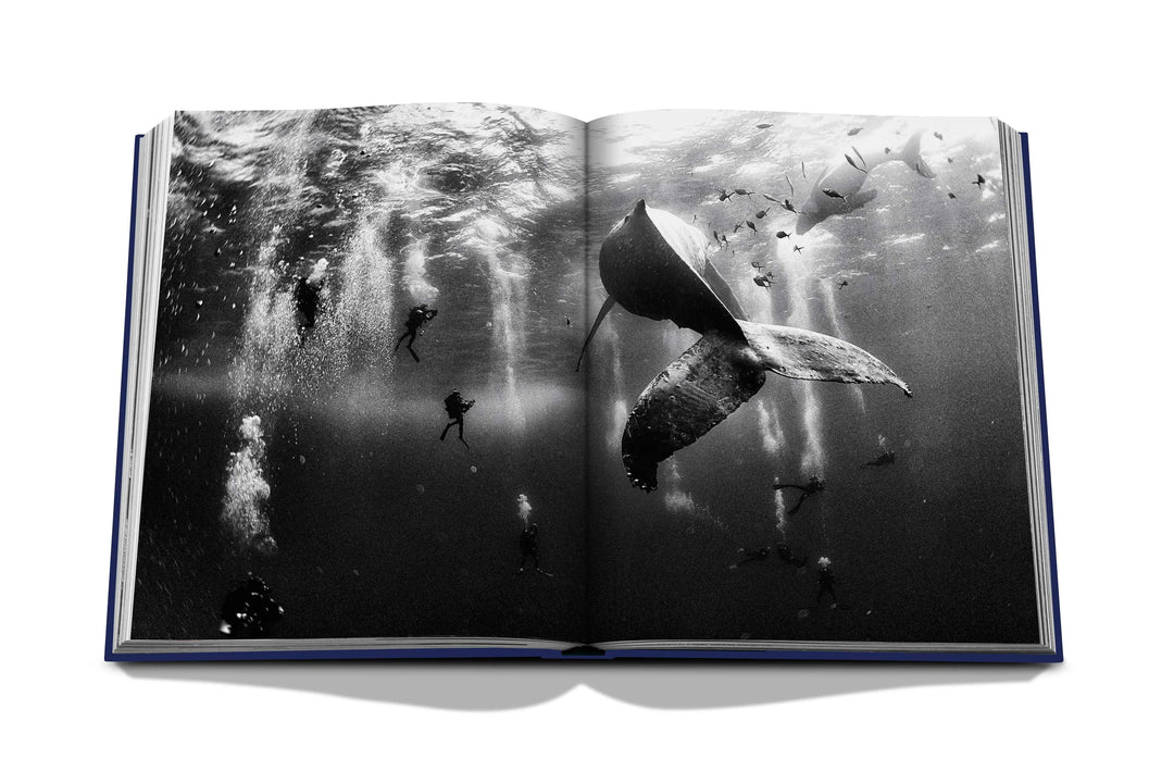 Assouline - Ocean Wanderlust