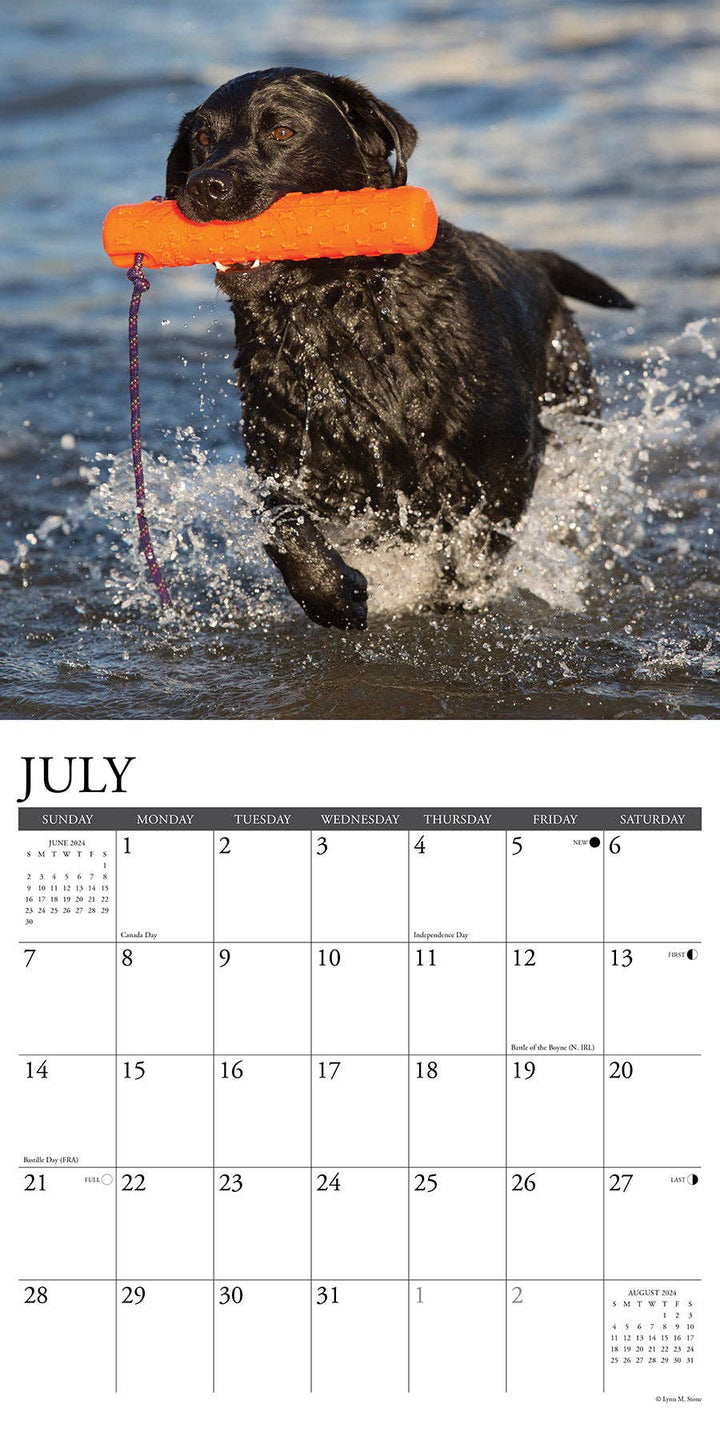 Just Labs 2024 Wall Calendar