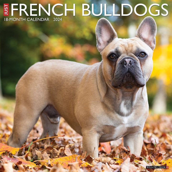 Just French Bulldogs 2024 Wall Calendar