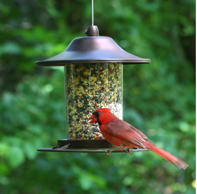 Wild Bird Copper Bird Feeder