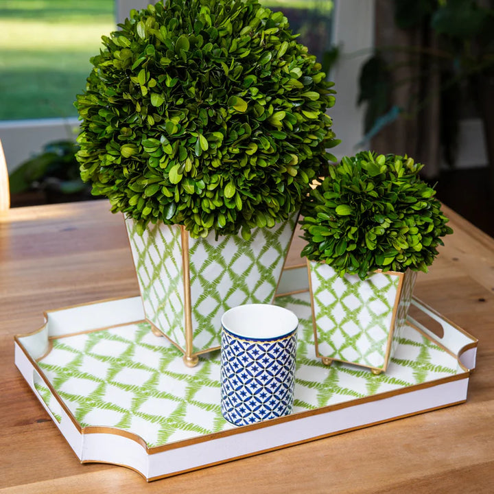 Jaye Enameled Tray - Fern Trellis