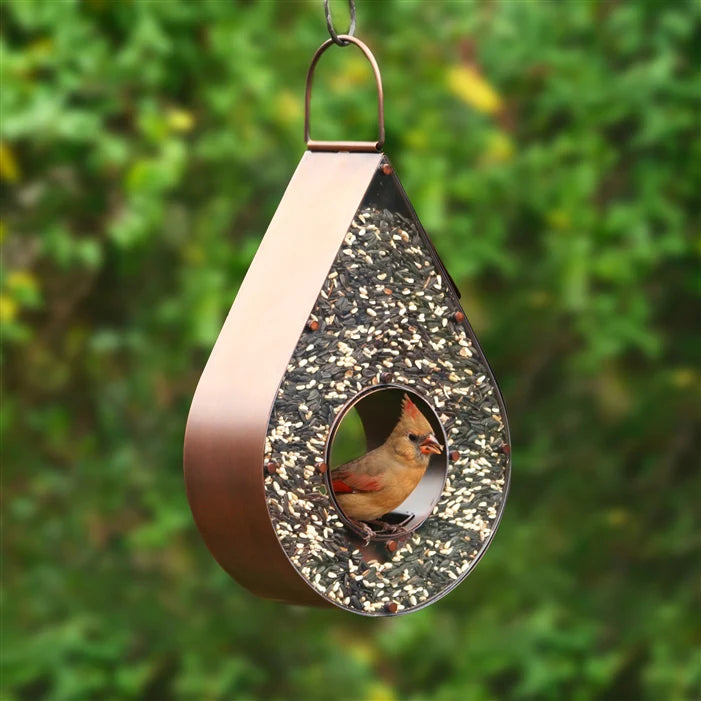 Teardrop Bird Feeder