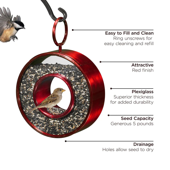 Circle Fly-Thru Bird Feeder - Ruby Red