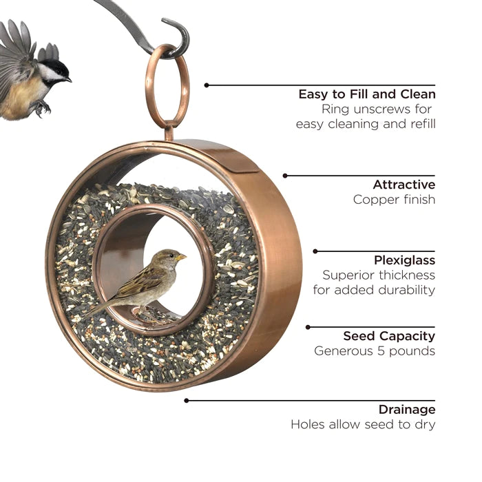 Circle Fly-Thru Bird Feeder