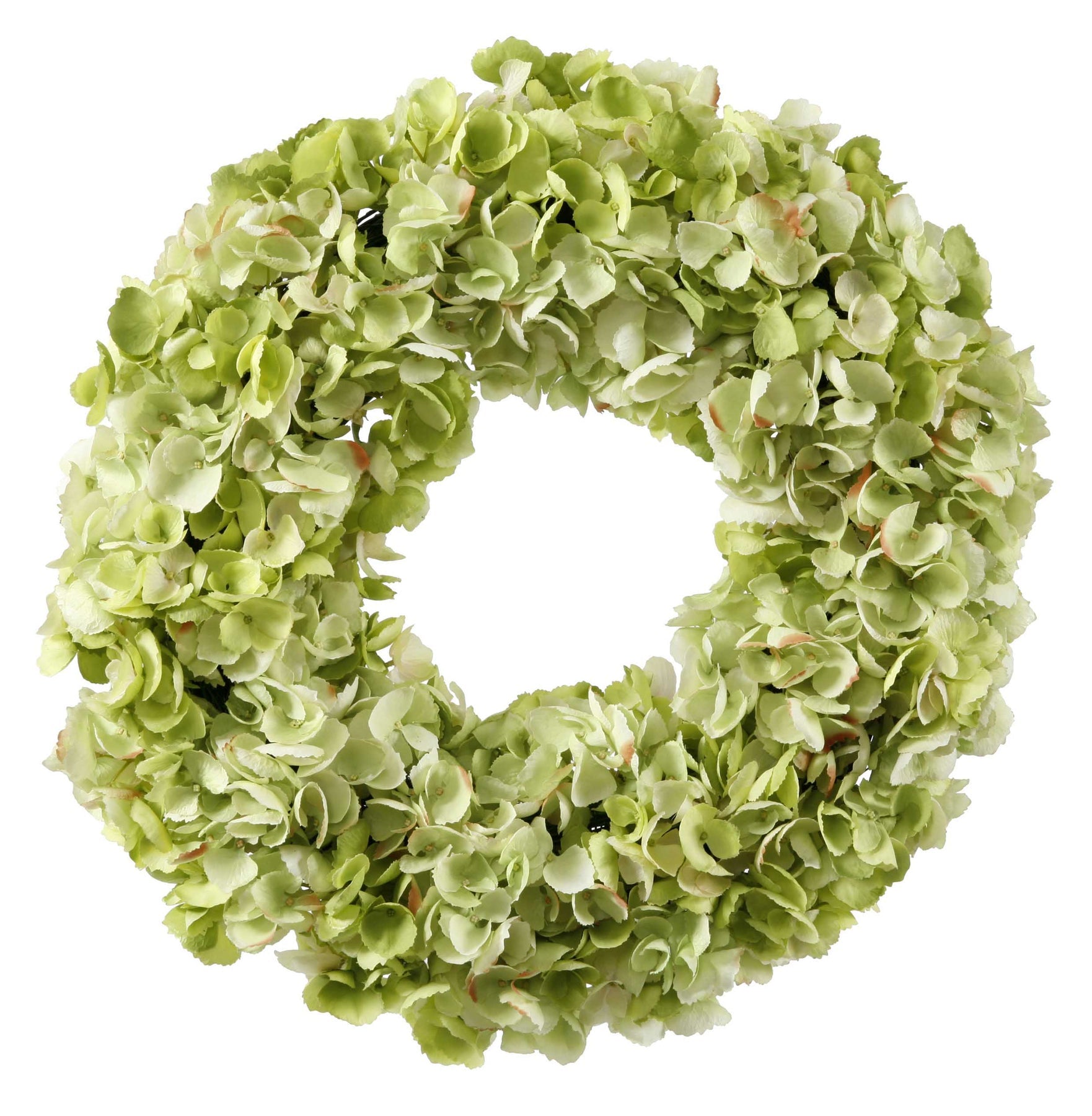 WINWARD Green Hydrangea Wreath – Sunset & Co.