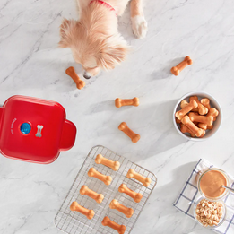 Rise by Dash Dog Treat Maker