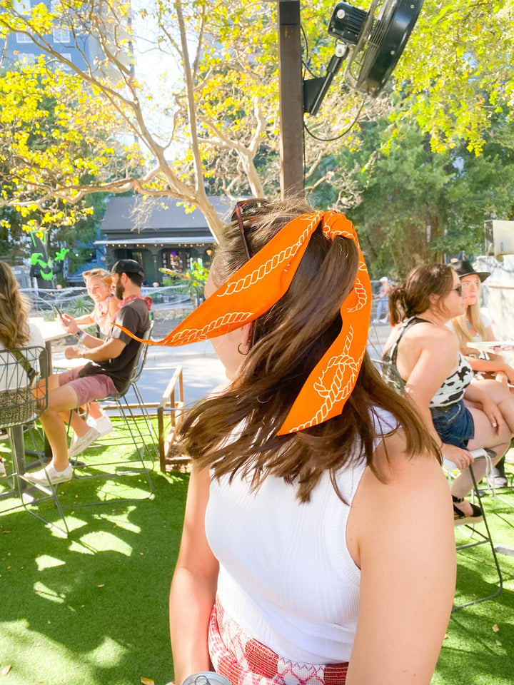 Saturday Silks - Texas Longhorns Twilly Scarf