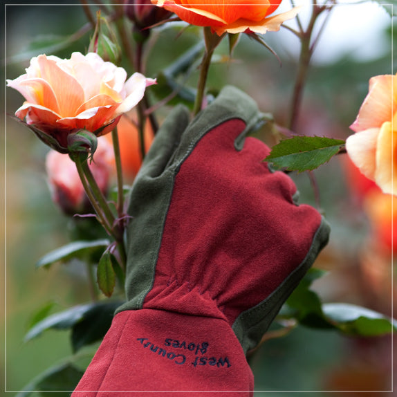 West County Gardener - Gauntlet Rose Gloves